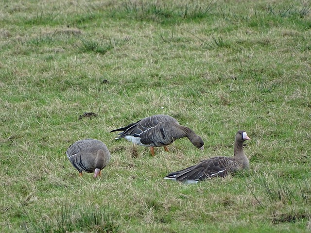 懂球帝12周年番外篇——搞笑名场面国内篇（一）