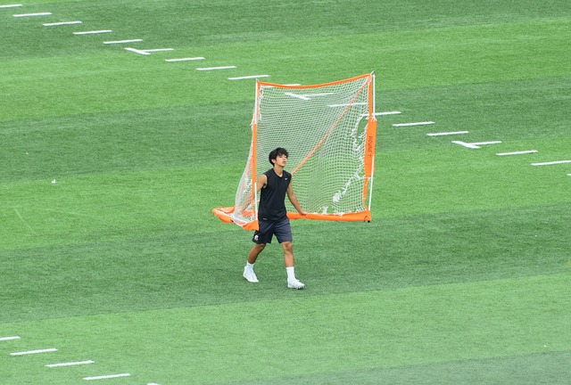 或更多强调