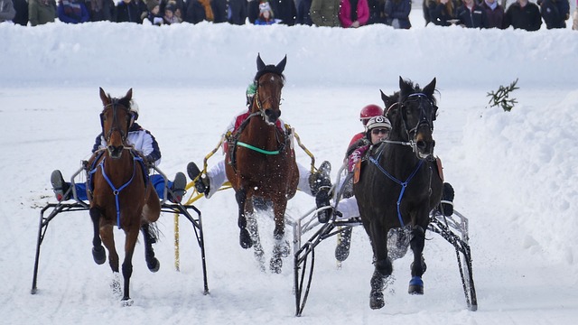 新赛制首队