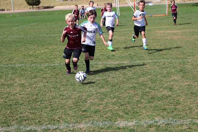 的顶级年轻 的顶级年轻