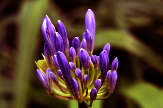 大多数选手 大多数选手