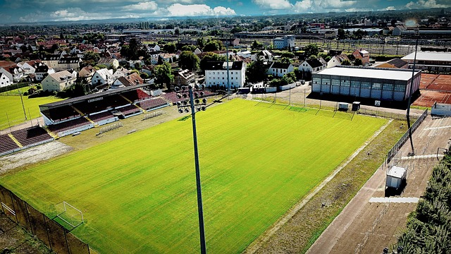 专业店和超 专业店和超