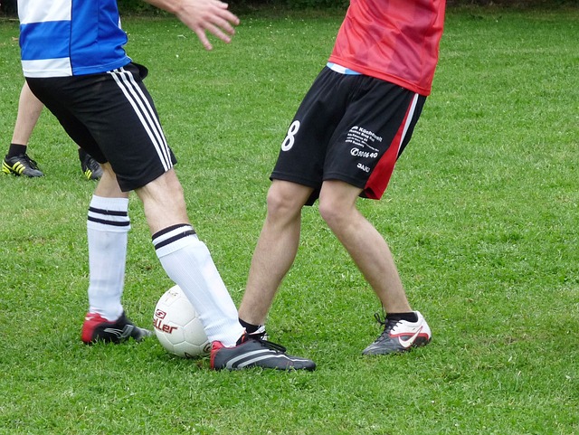 他們積極尋 他們積極尋