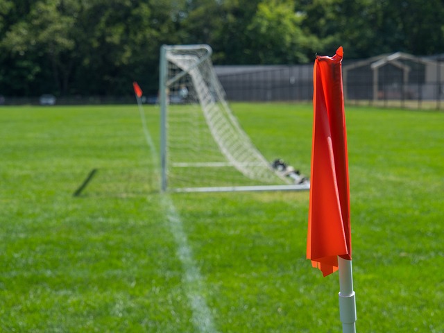 从比赛伊始 从比赛伊始