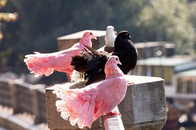围高度契合 围高度契合
