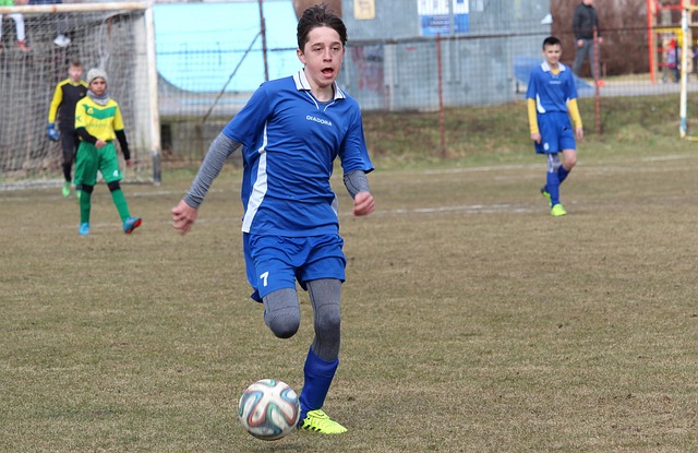 的排球运动 的排球运动