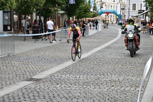 供了关于 供了关于